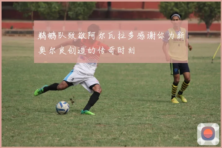 鹈鹕队致敬阿尔瓦拉多感谢你为新奥尔良创造的传奇时刻